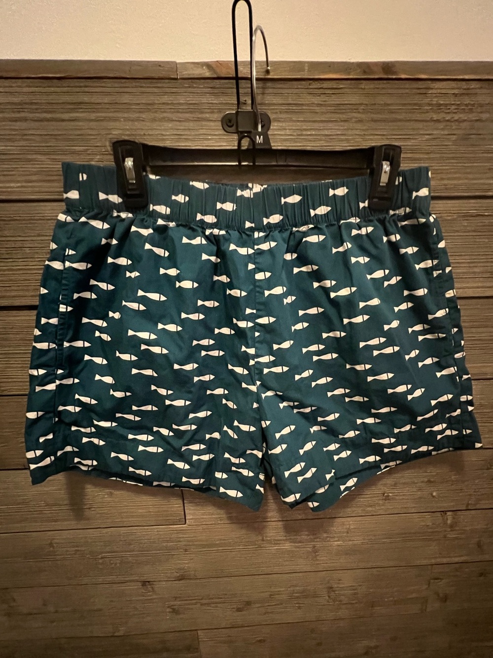 Hanna Andersson Teal Shorts with White Fish Print